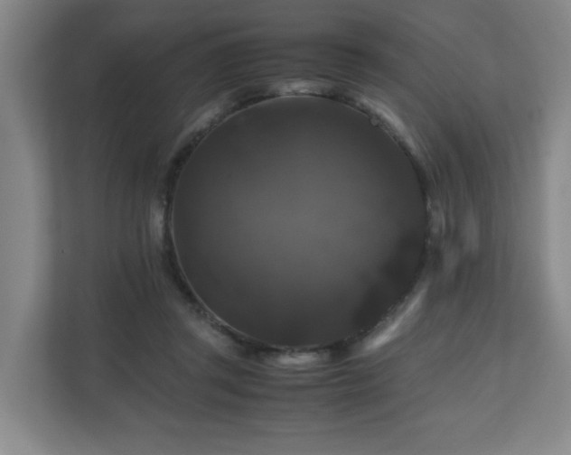 X0000111120357200906301315