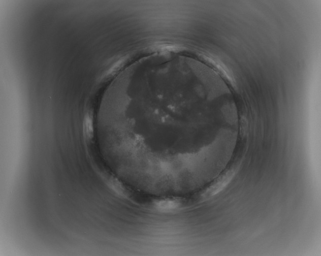 X0000111120358200906301315