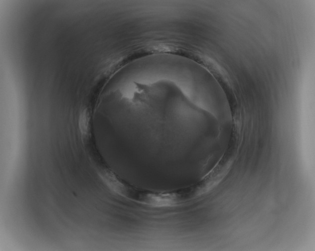 X0000111120359200906301315