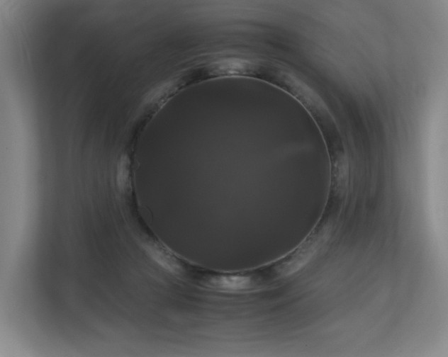 X0000111120361200906301315