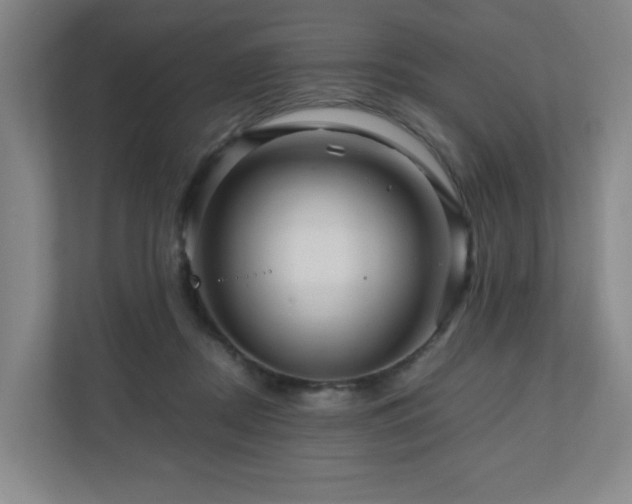 X0000111120362200906301315