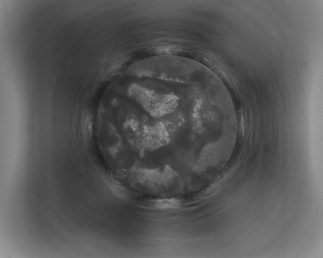 X0000111120363200906301315