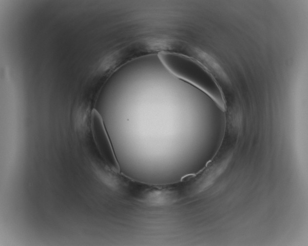 X0000111120364200906301315