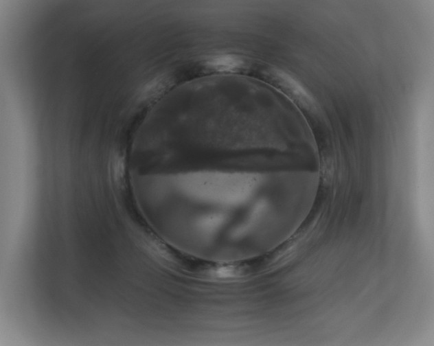 X0000111120365200906301315