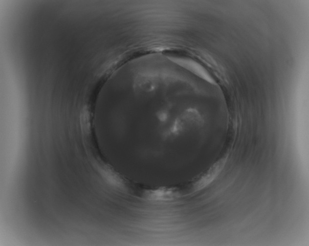 X0000111120366200906301315