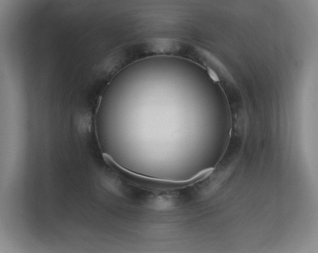 X0000111120368200906301315