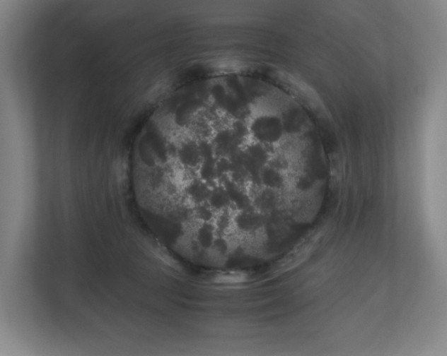 X0000111120369200906301315