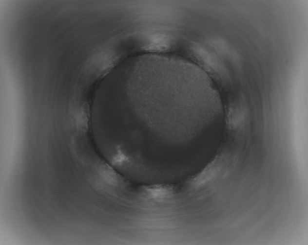 X0000111120370200906301315