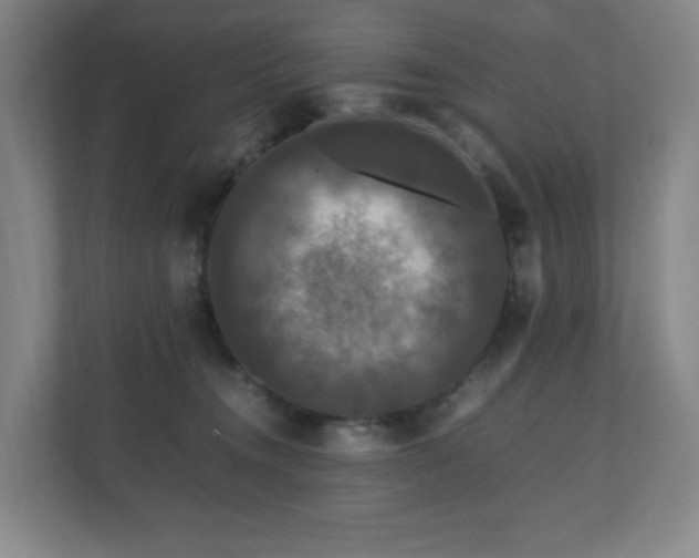 X0000111120372200906301315