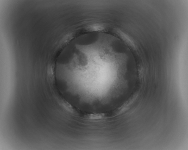 X0000111120373200906301315