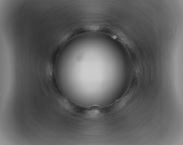 X0000111120374200906301315