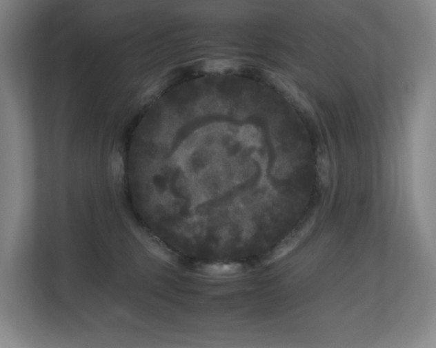 X0000111120375200906301315