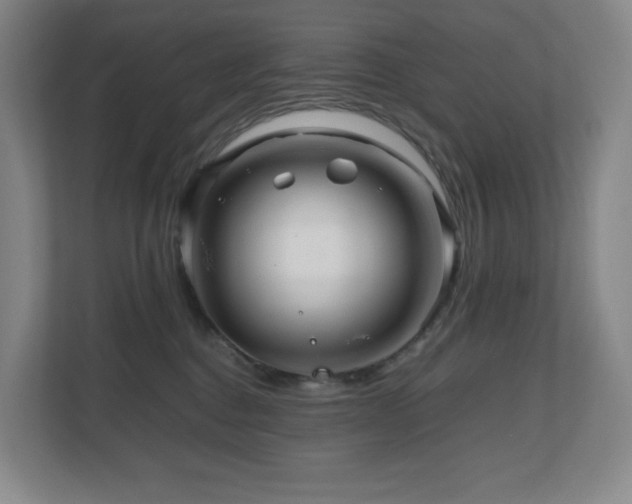 X0000111120376200906301315