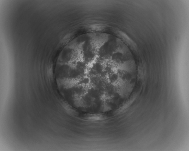 X0000111120377200906301315