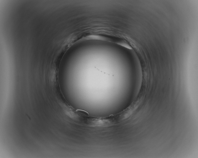 X0000111120379200906301315