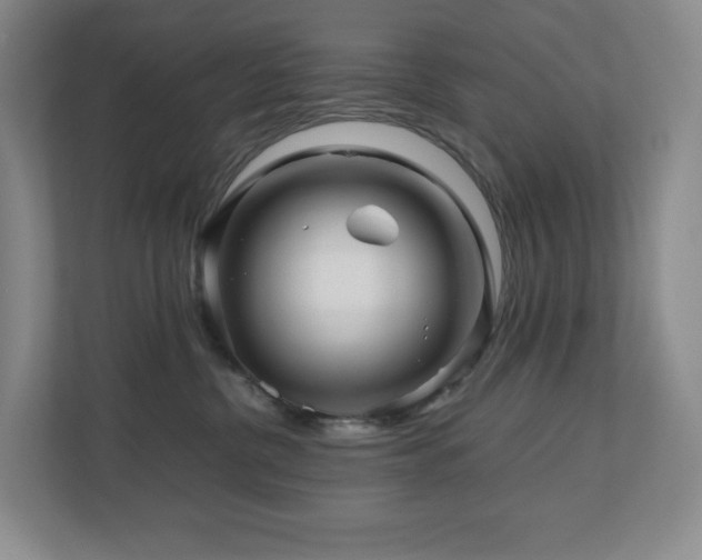 X0000111120380200906301315