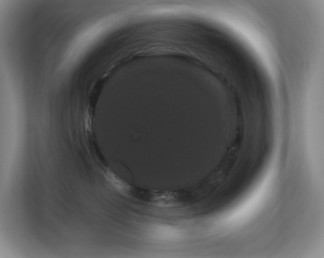 X0000111120382200906301315