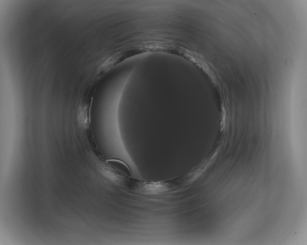 X0000111120383200906301315