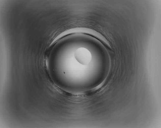 X0000111120384200906301315