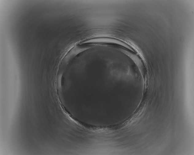 X0000111120385200906301315