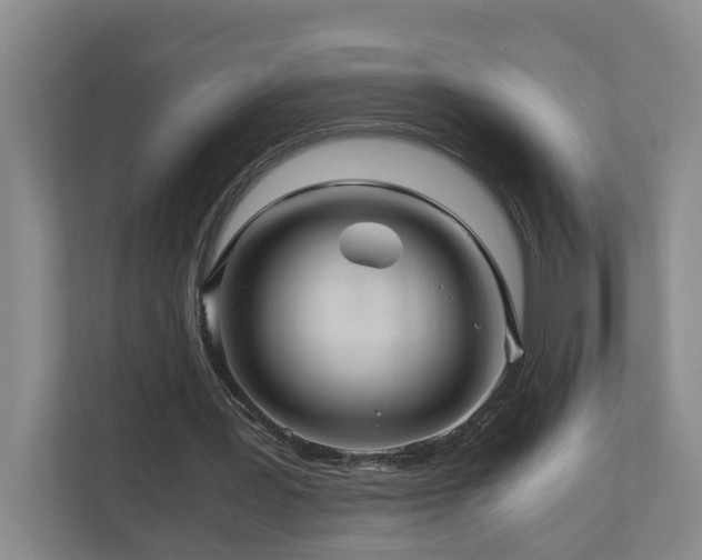 X0000111120387200906301315