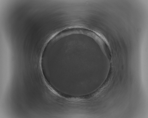 X0000111120389200906301315