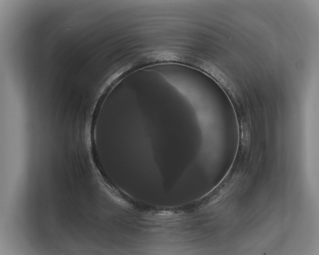 X0000111120390200906301315