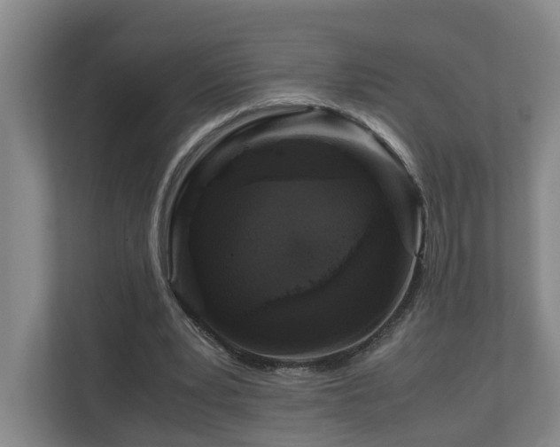 X0000111120391200906301315