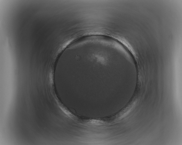 X0000111120393200906301315