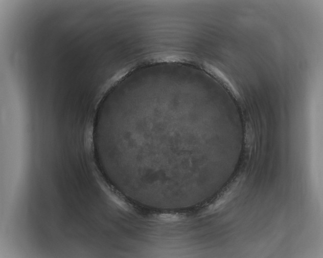 X0000111120394200906301315