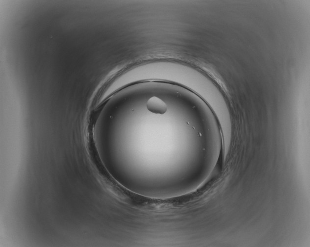 X0000111120395200906301315