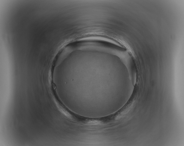 X0000111120397200906301315