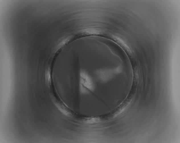 X0000111120398200906301315