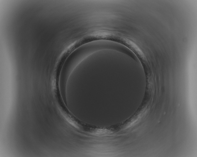 X0000111120399200906301315