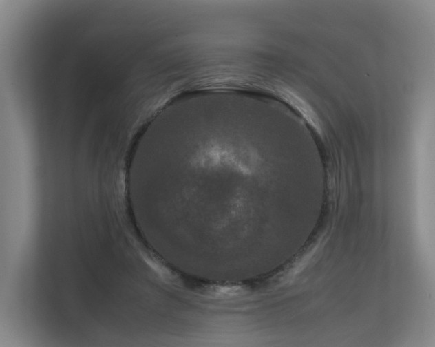 X0000111120401200906301315