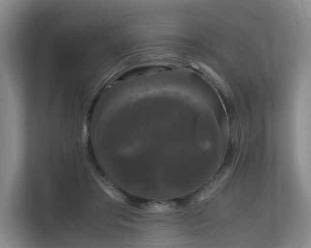 X0000111120405200906301315