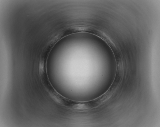 X0000111120406200906301315