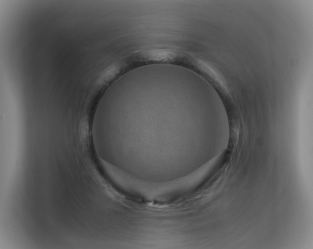 X0000111120407200906301315