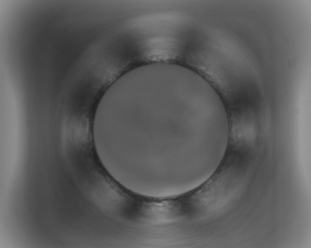 X0000111120411200906301315