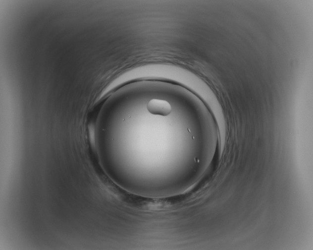 X0000111120415200906301314