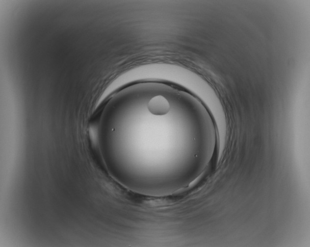 X0000111120417200906301314