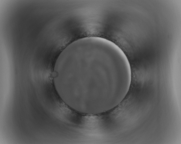 X0000111120419200906301314