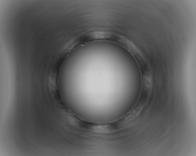 X0000111120422200906301314