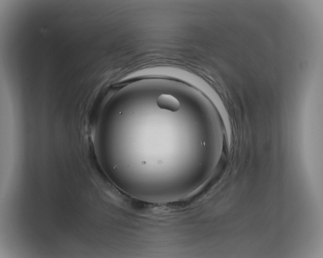 X0000111120423200906301314