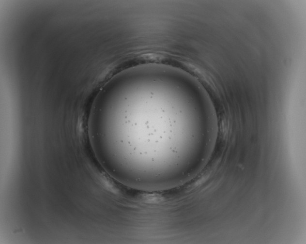 X0000111120424200906301314