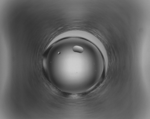 X0000111120425200906301314