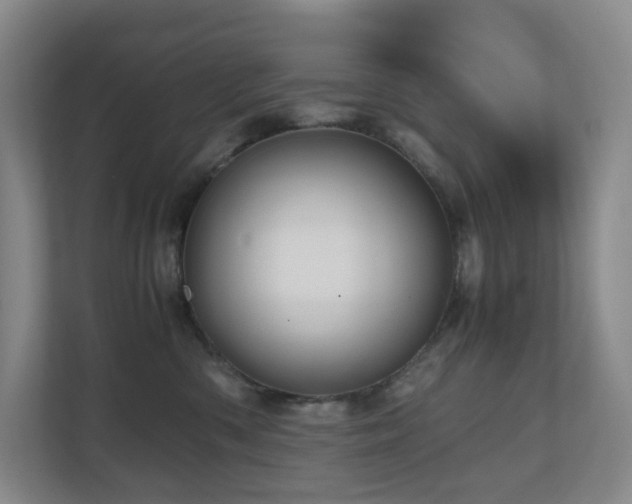 X0000111120426200906301314