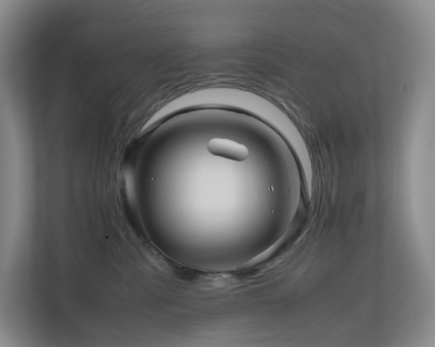 X0000111120427200906301314