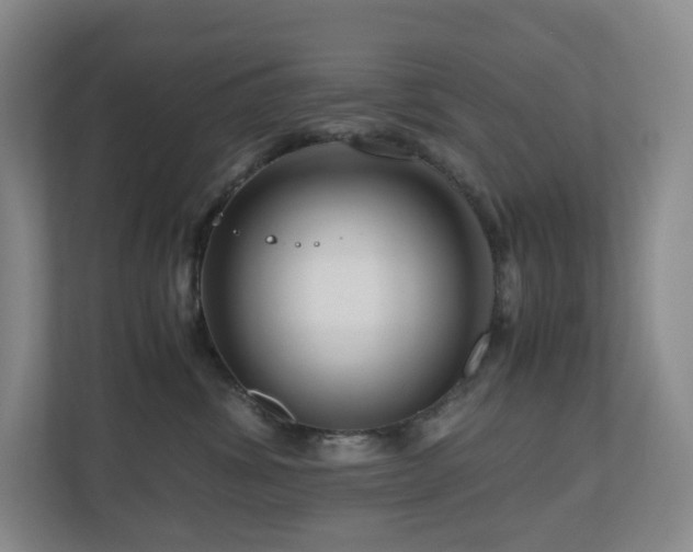 X0000111120428200906301314