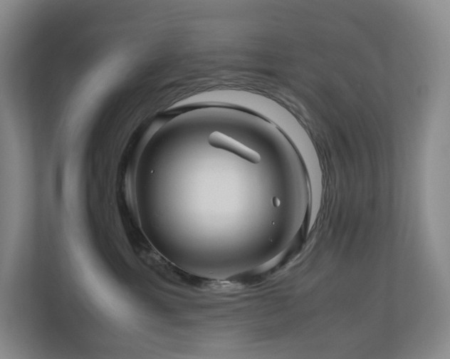 X0000111120429200906301314